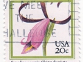 ZDA - Cleistesiopsis divaricata