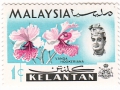 Malezija - Vanda hookeriana