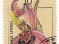 Sovjetska zveza - Ophrys apifera